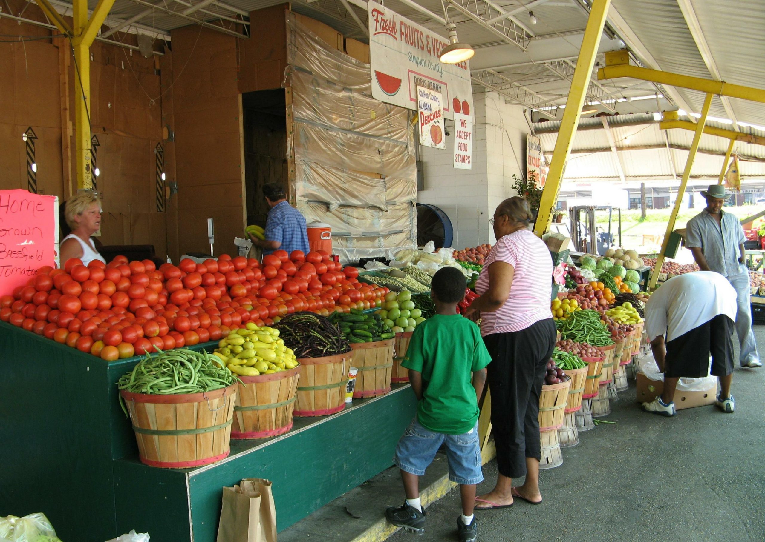 Expanded USDA Microloans Program Increases Opportunity for Small and  Beginning Farmers - National Sustainable Agriculture Coalition