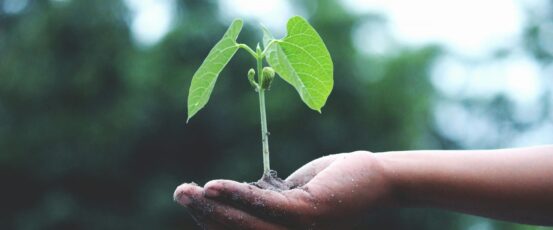 Farmers Bring Hope for Our Climate and Our Future