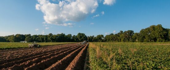 Farm Aid applauds rollout of USDA’s Discrimination Financial Assistance Program