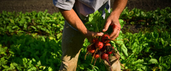 Farm Aid Announces the Launch of The Distressed Borrowers Assistance Network